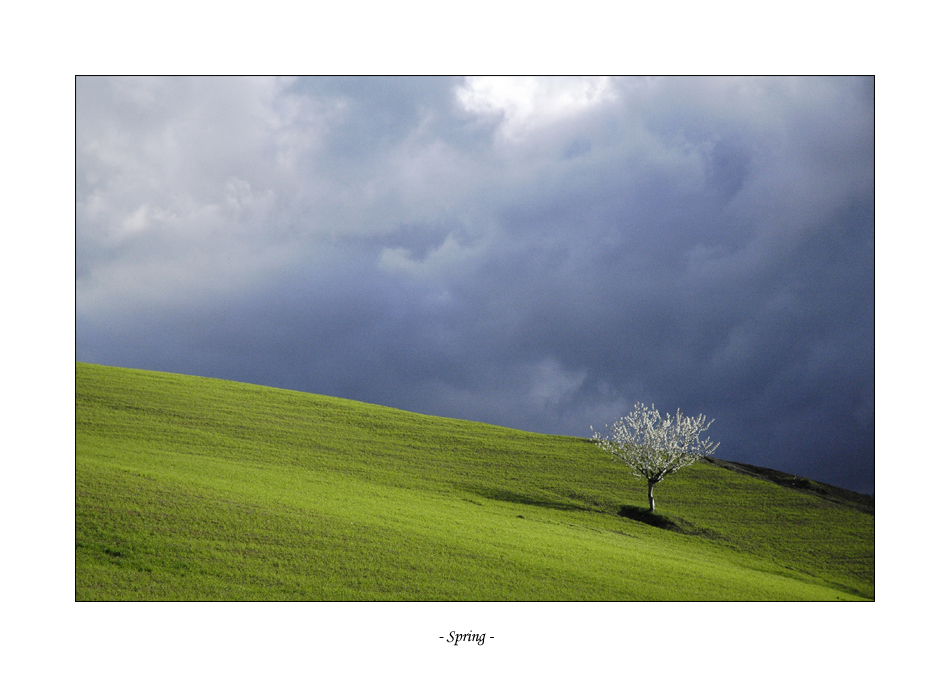 spring_by_frescendine